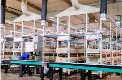 探尋天能&ldquo;新質(zhì)&rdquo;之美,看天能如何引領行業(yè)&ldquo;智造進階&rdquo;!