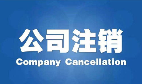 江蘇代理注冊公司信譽優良，專注廣告設計服務